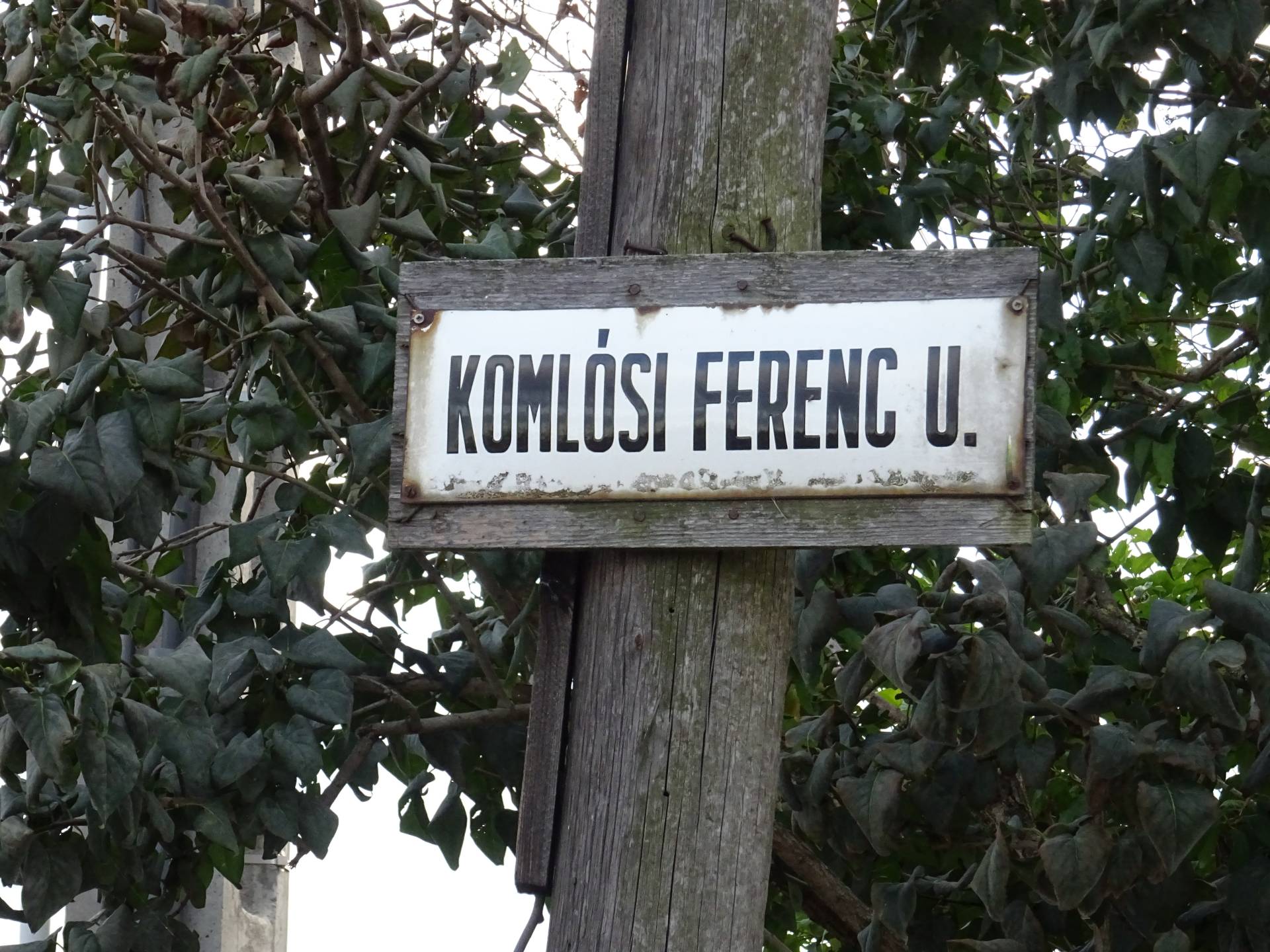 Komlóssy Ferenc