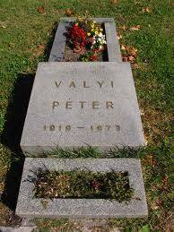 Vályi Péter