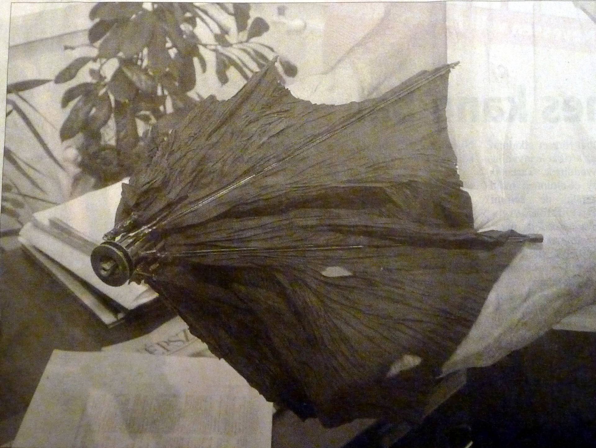 Balogh-ernyő