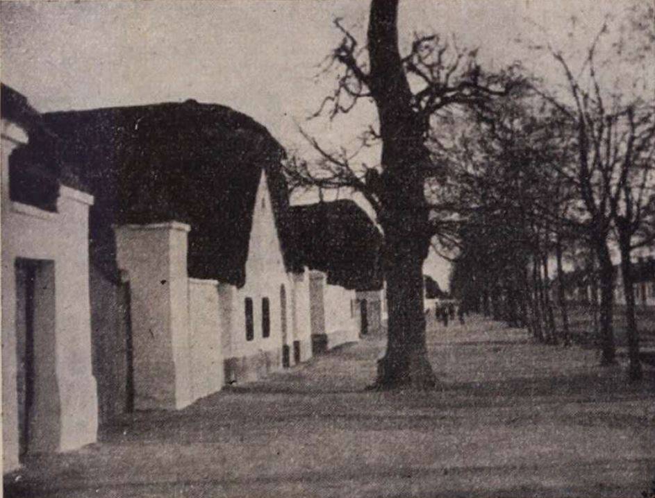 Újperint
